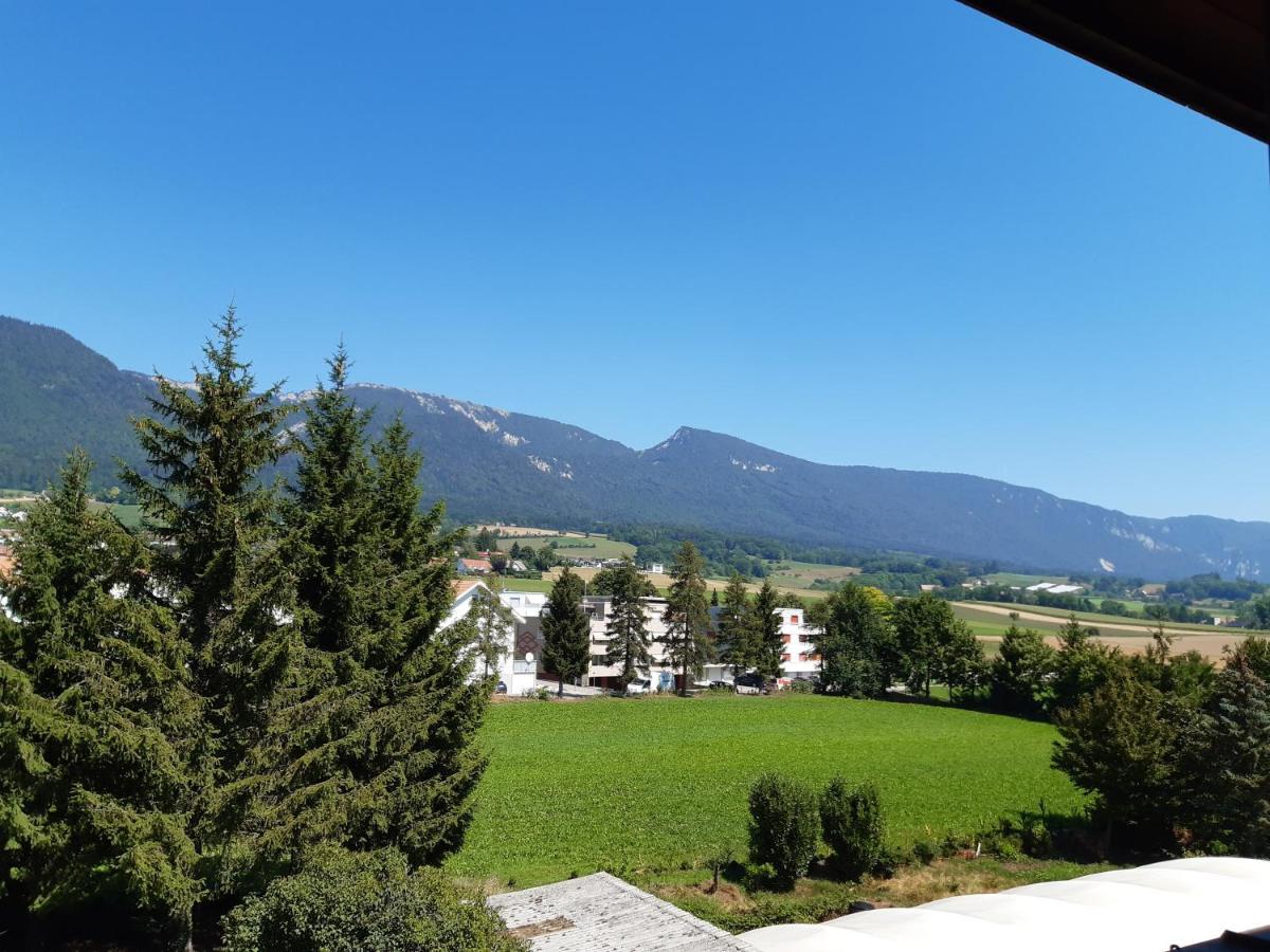 Hotel Urs Und Viktor Bettlach Exterior foto